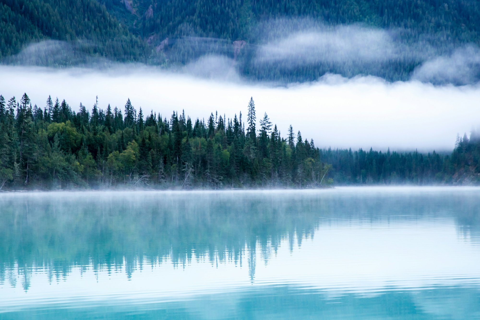 kalen-emsley-_LuLiJc1cdo-unsplash