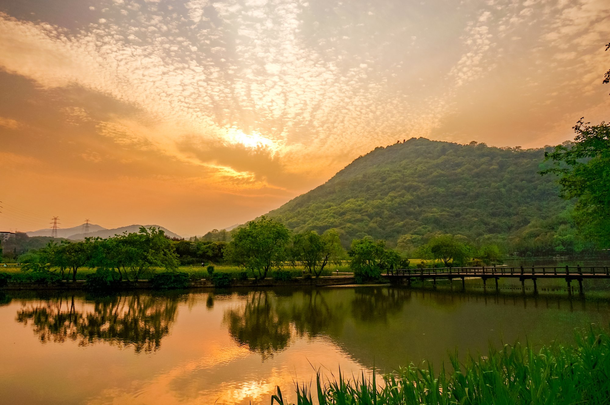 lake-with-trees