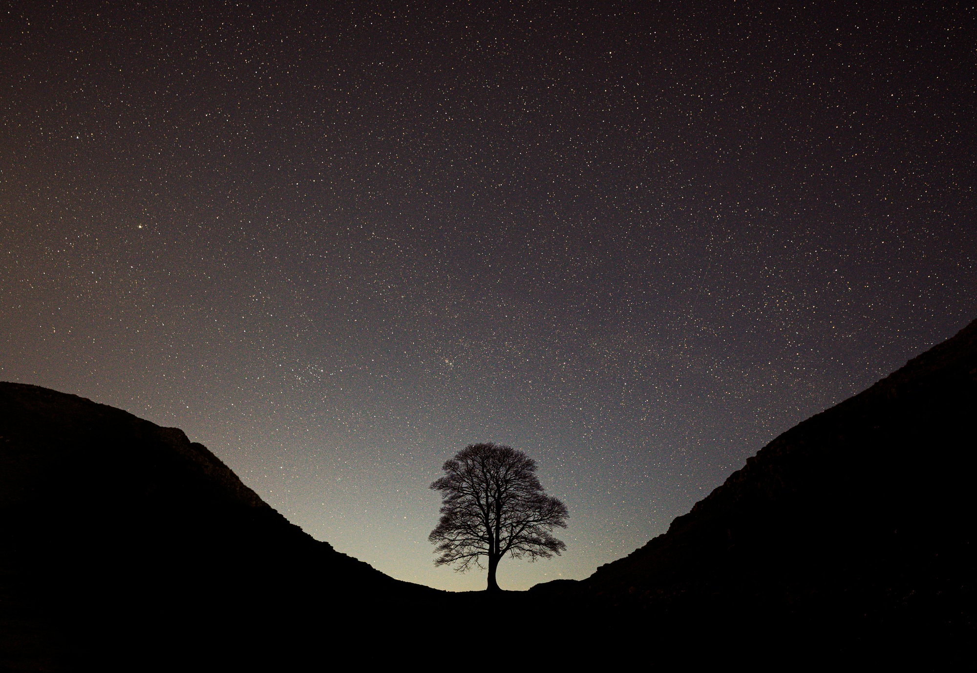 mark-mc-neill-Fk_rxbUaujs-unsplash