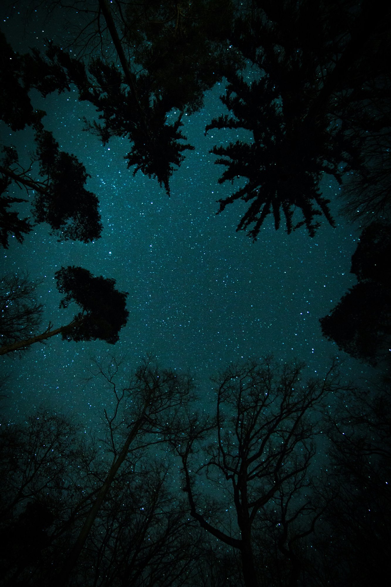 max-saeling-ef0sXQtnCYU-unsplash
