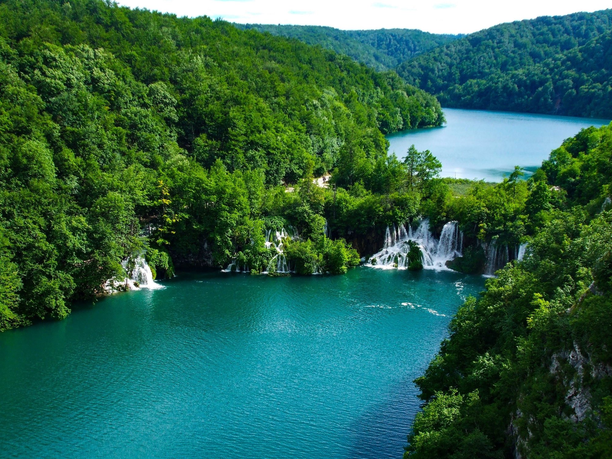 river-trees-plitvice-lakes-national-park-croatia
